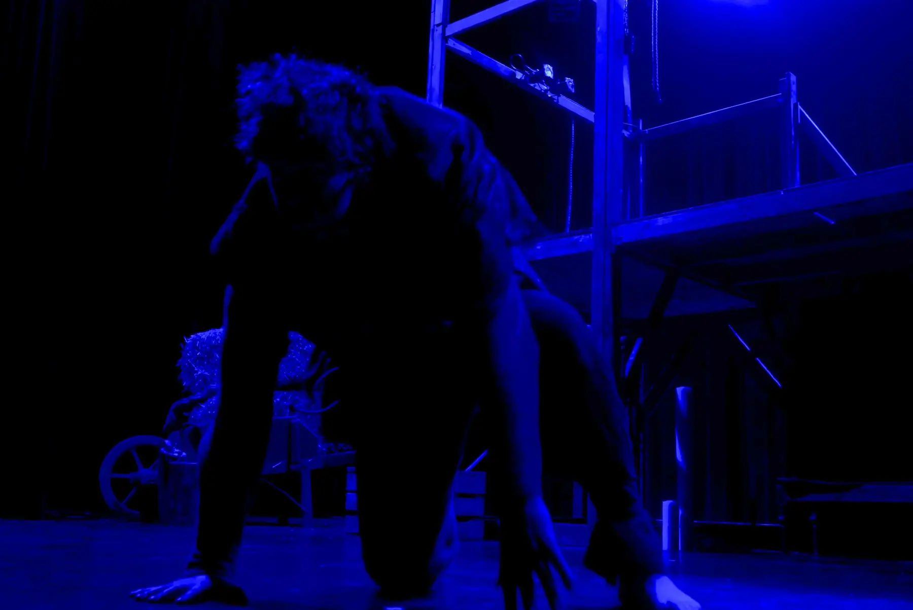 Quasimodo — photographie 8